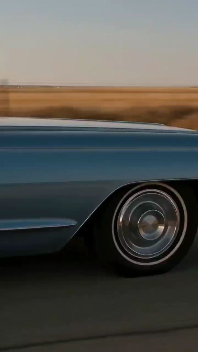 VID_20261003_185532_565.mp4